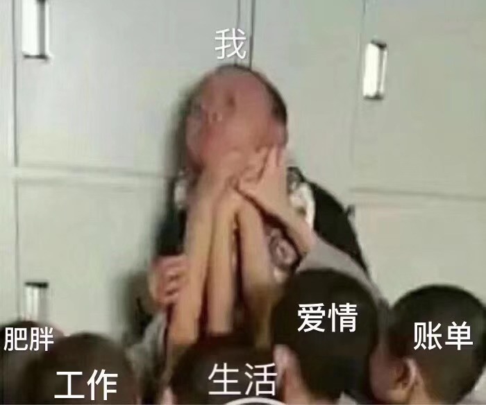 茶茶子的主播照片
