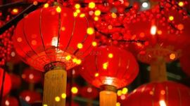 素雅依依暂休的图片