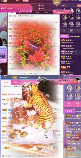 一树梨花压海唐同学☞主播照片