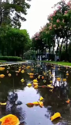 დ释怀დ主播照片