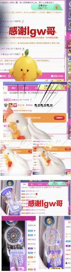 金麒麟安静唱歌🎤主播照片