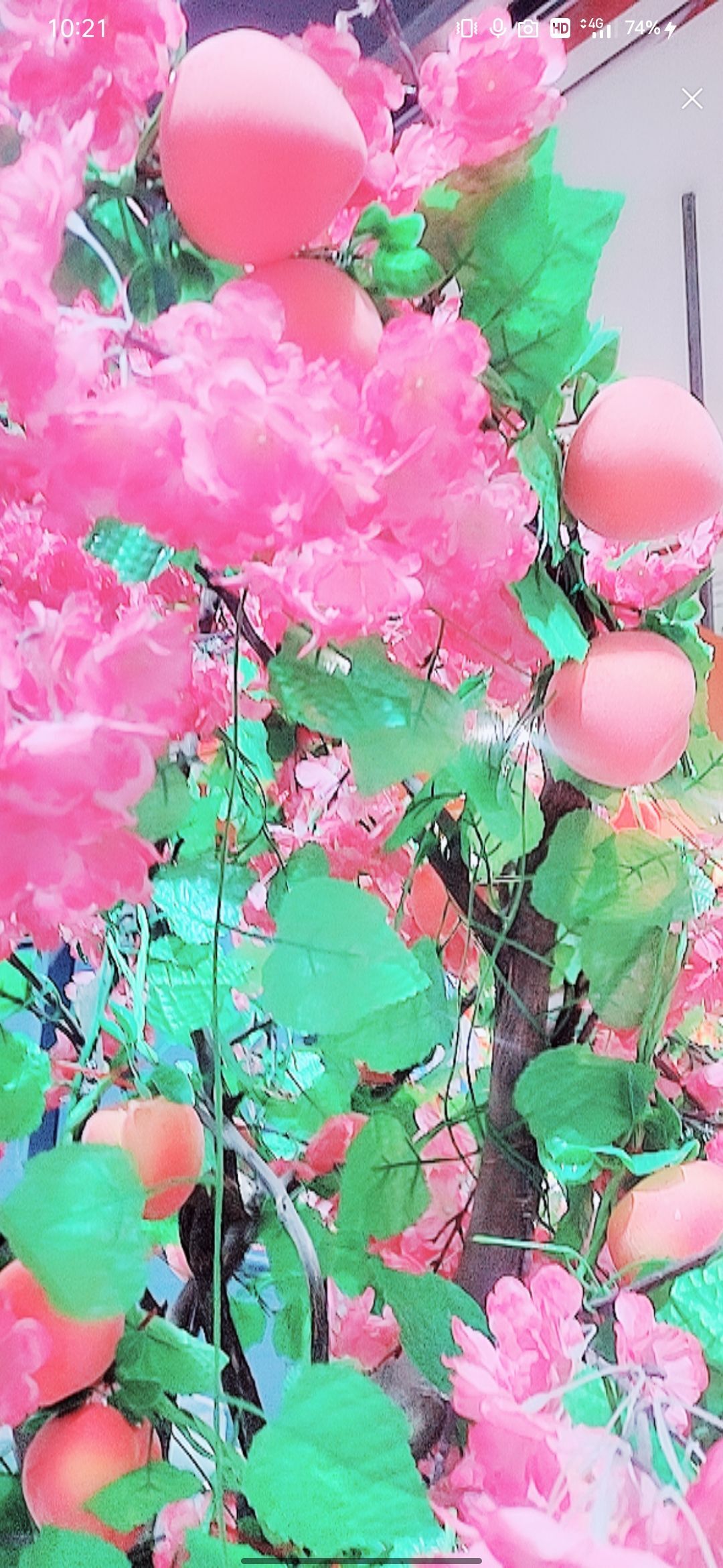 婷婷💕感恩有你陪伴的图片