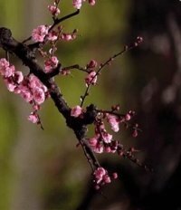 დ释怀დ主播照片