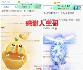 金麒麟安静唱歌🎤主播照片