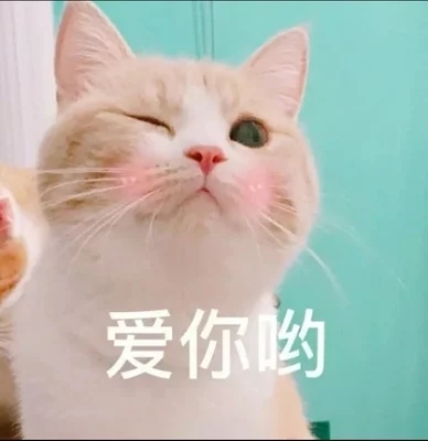 橙橙橙橙橙橙橙橙子的主播照片