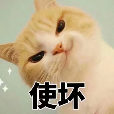 橙橙橙橙橙橙橙橙子的主播照片
