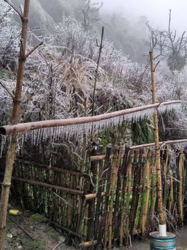 硬币响叮铛主播照片