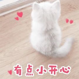 一树梨花压海唐同学☞主播照片