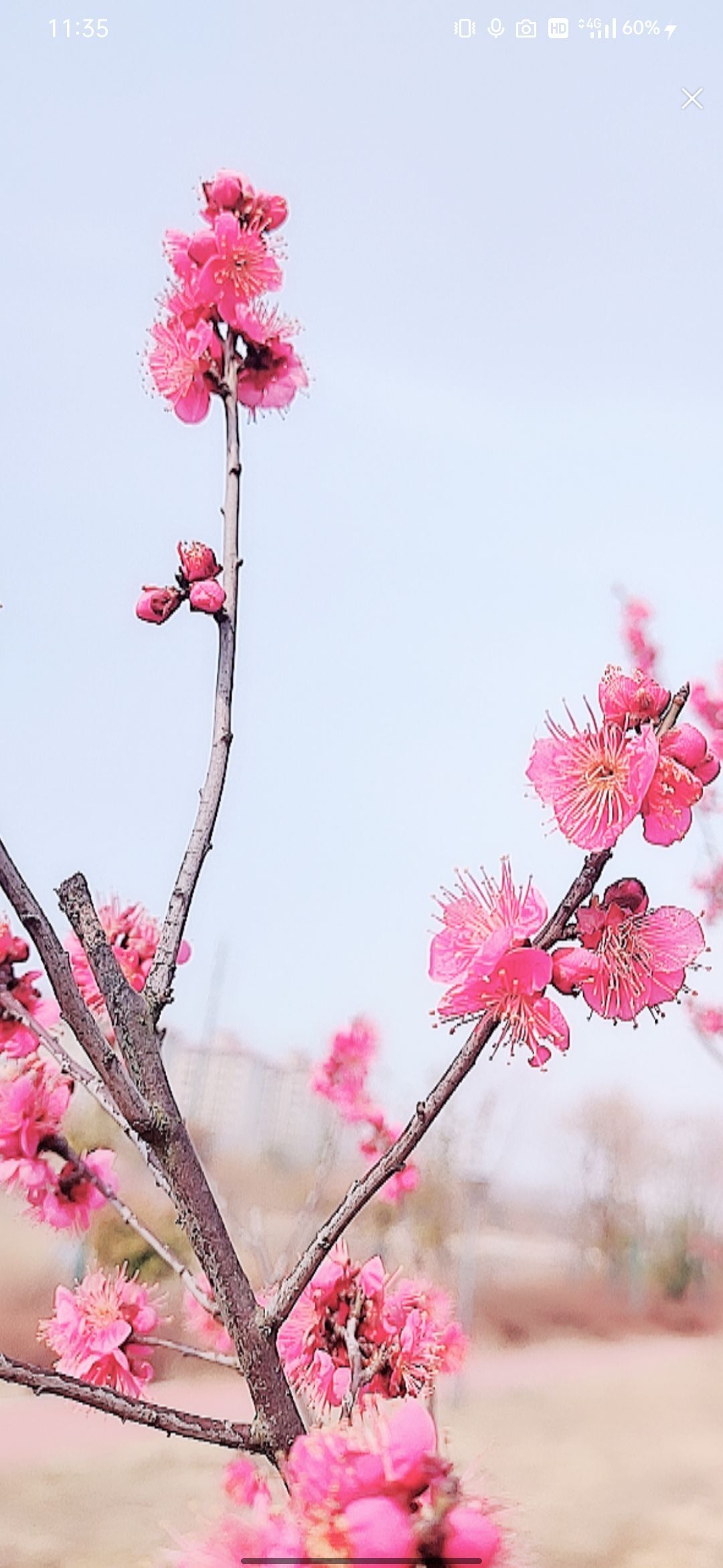 婷婷💕感恩有你陪伴的图片
