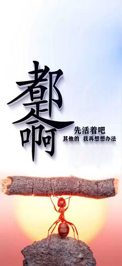 茄子☞乂氼主播照片