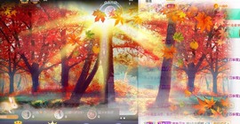 honey兔好运来~主播照片