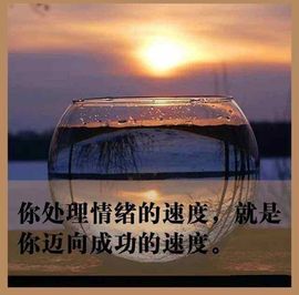 小玲儿贺爱哥创世神帝的图片