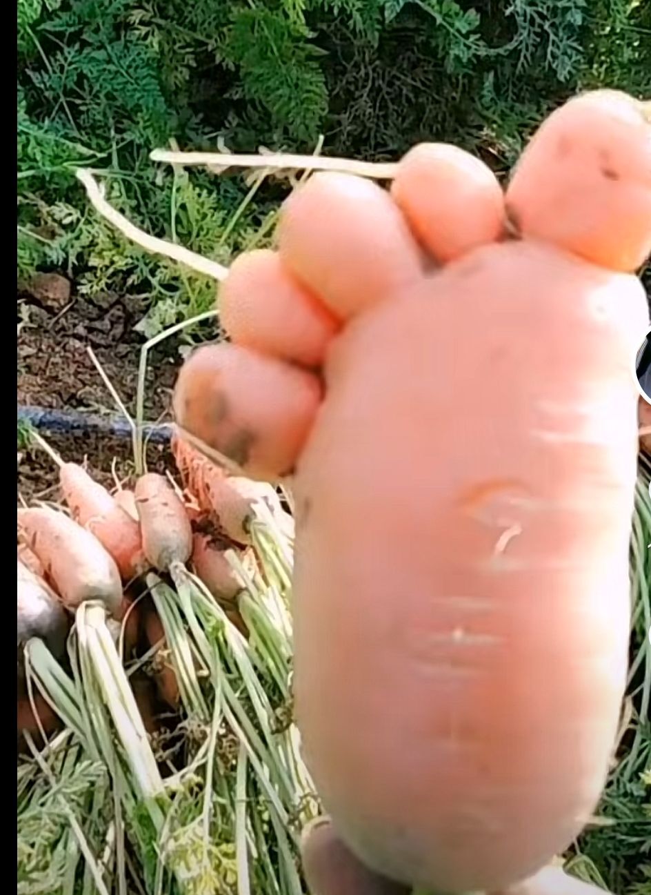丑小鸭💞愿有一束光的图片