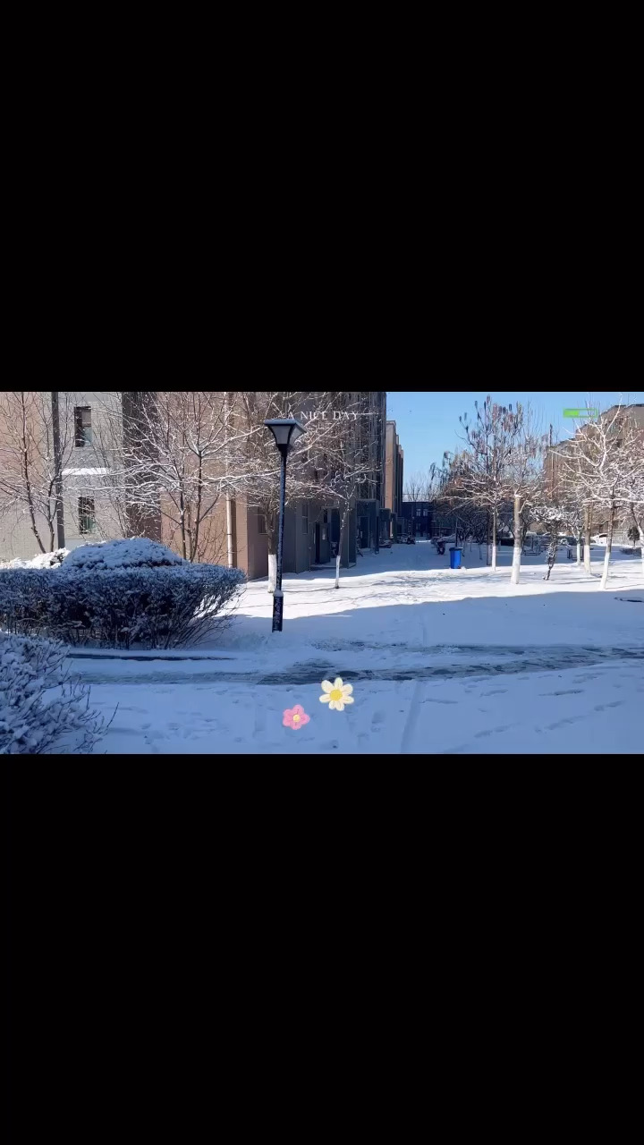 请你们看雪/狂笑/狂