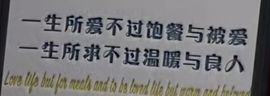 小肉鸭💖愿有一束光的图片
