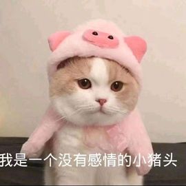 დ释怀დ主播照片