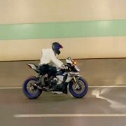 向往自由的骑士