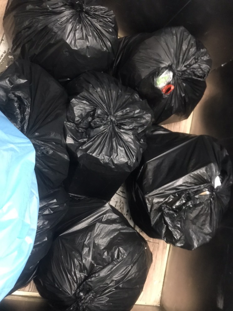 茶茶幸运星的图片