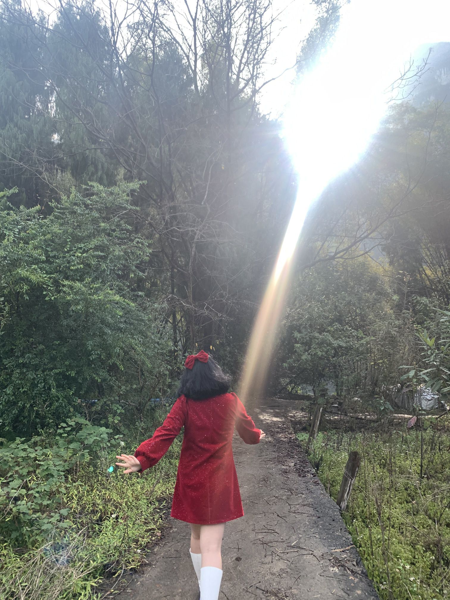 新人婉露求守护的图片