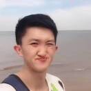 何来去*v