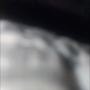 九儿的随从的头像