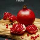 情有独钟r0p