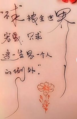 小肉鸭💖愿有一束光的图片