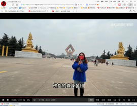 保利哥主播照片