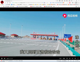 保利哥主播照片