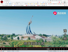 保利哥主播照片