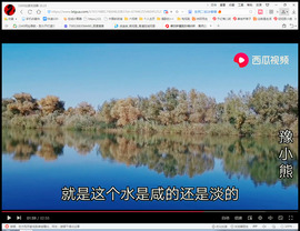 保利哥主播照片