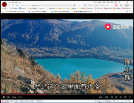 保利哥主播照片