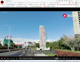 保利哥主播照片