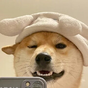 看看不说话😁的头像