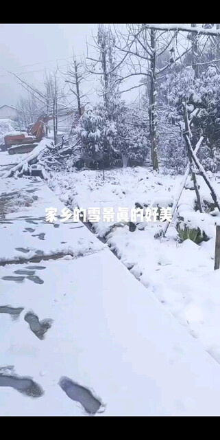 家乡雪景真的好美