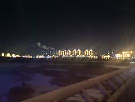 天王盖地虎虎044的图片