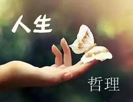 დ释怀დ主播照片