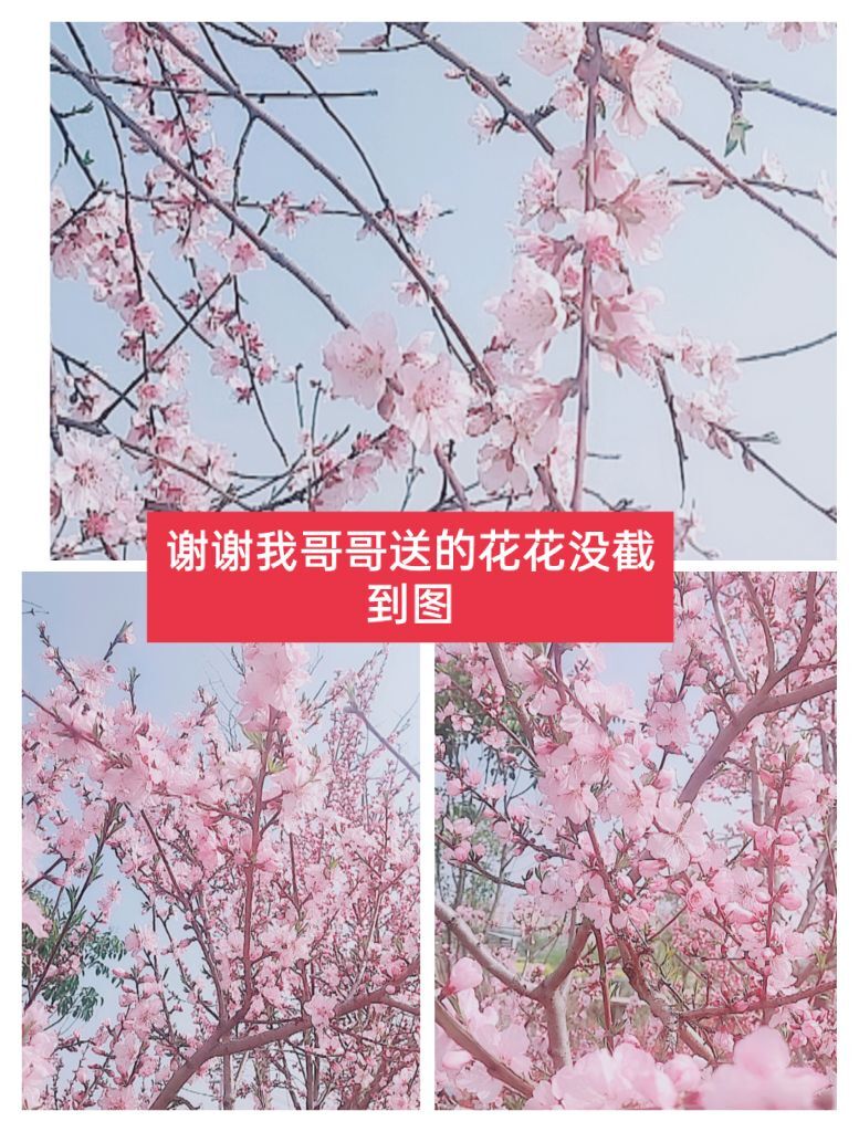 婷婷💕感恩有你陪伴的图片