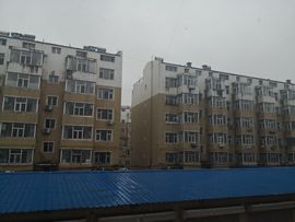 天王盖地虎虎044的图片