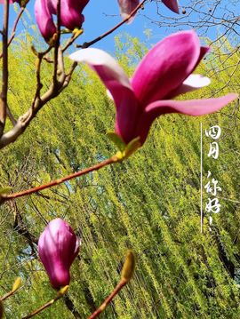 超持久“桑拿天”来了主播照片