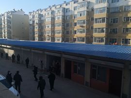 天王盖地虎虎044的图片