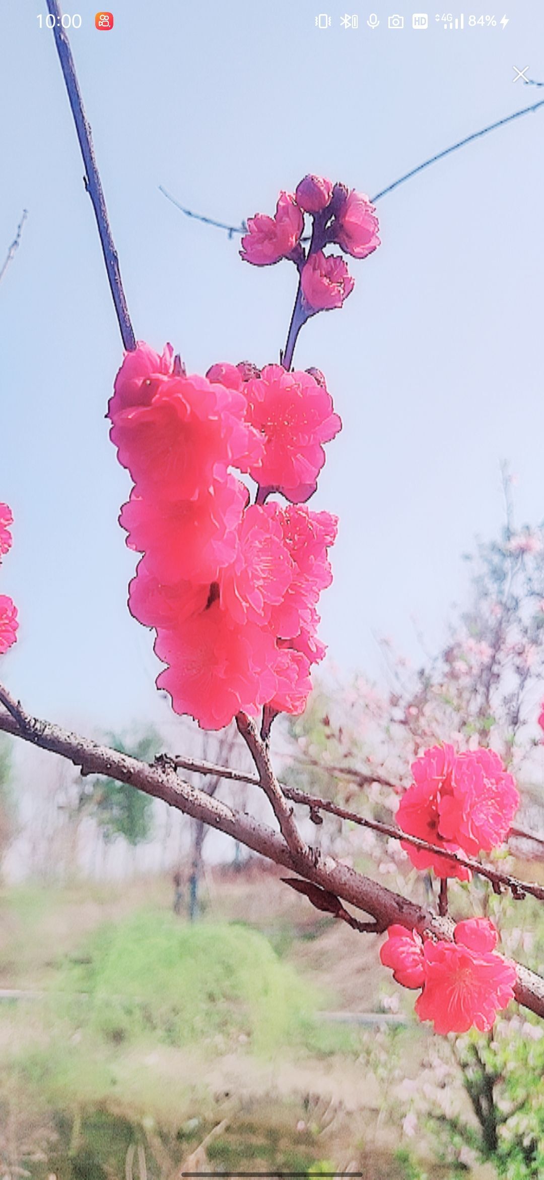 婷婷💕感恩有你陪伴的图片