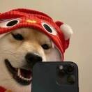华北陈冠希