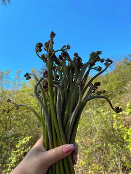 南星🍀的图片