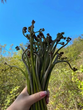 南星🍀主播照片