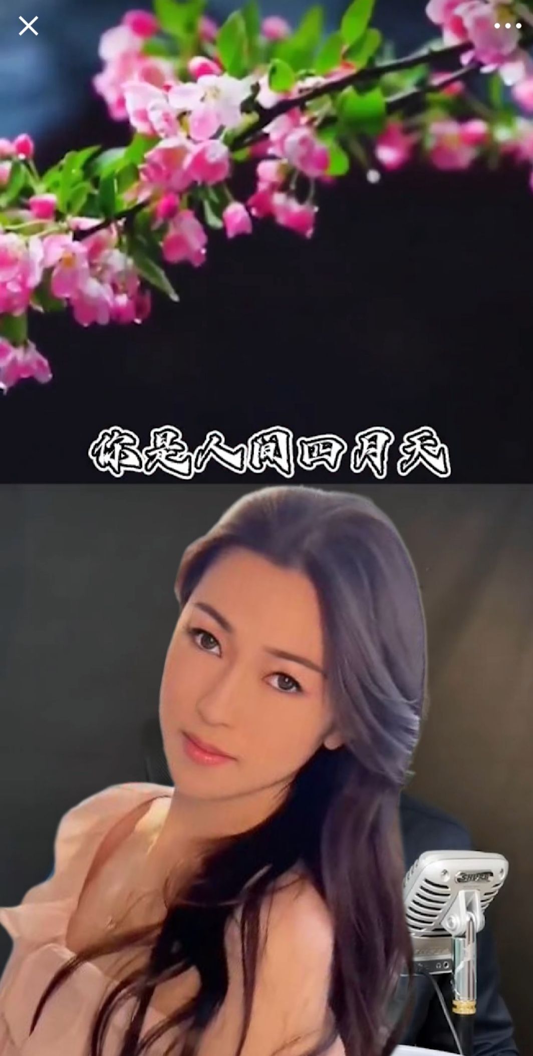 果果(平安好运)的图片