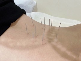 （全网同名）主播照片