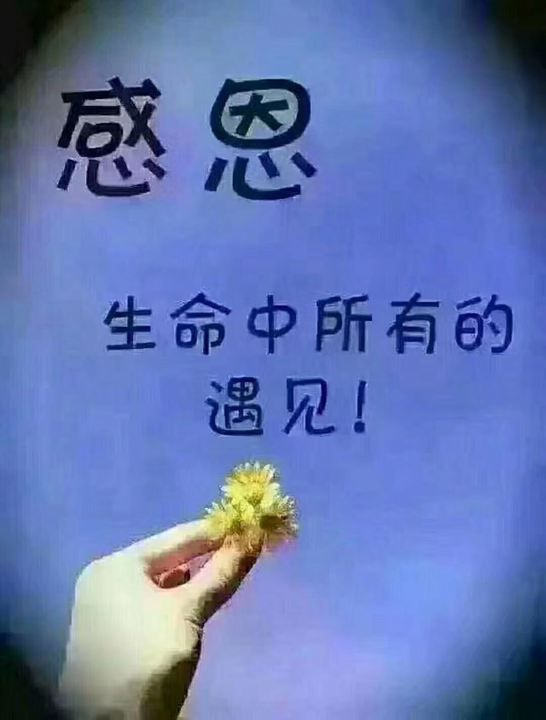 茉莉就当不曾来过主播图片