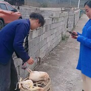 東们喝酒。西门吹牛