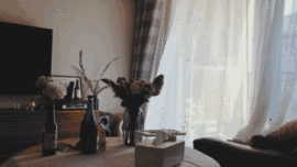 დ释怀დ主播照片